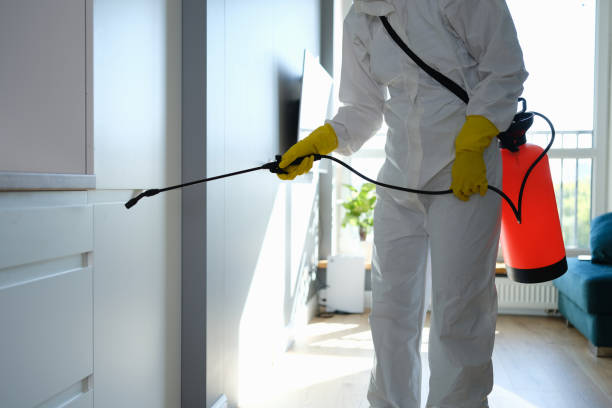 Mold Testing and Removal in Big Timber, MT